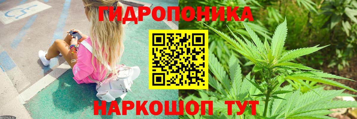 Конопля гибрид  Конопля план  Вход с VPN  Похвистнево 